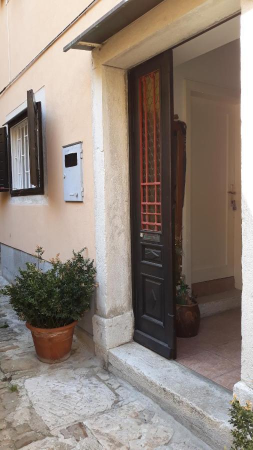 Apartment & Irena