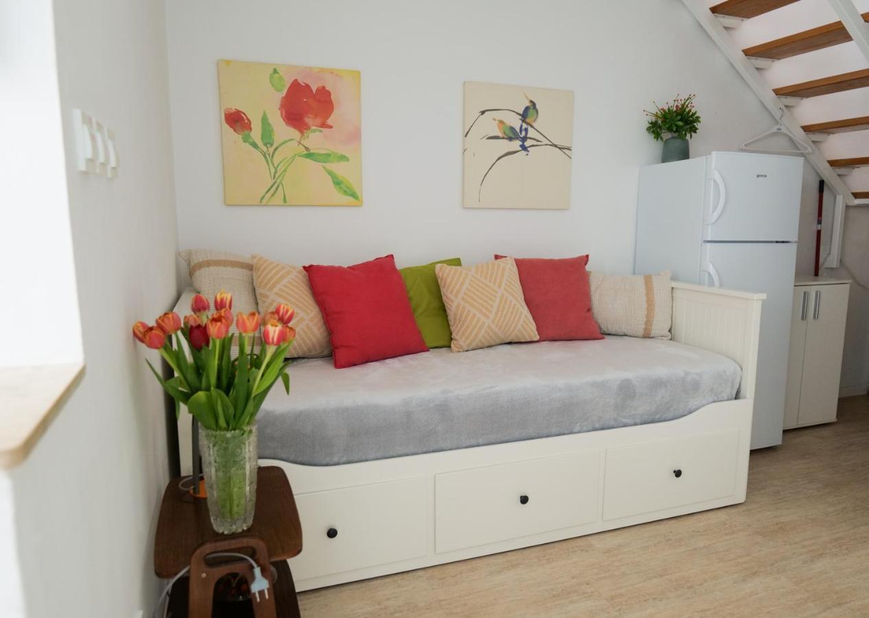 Apartment & Irena
