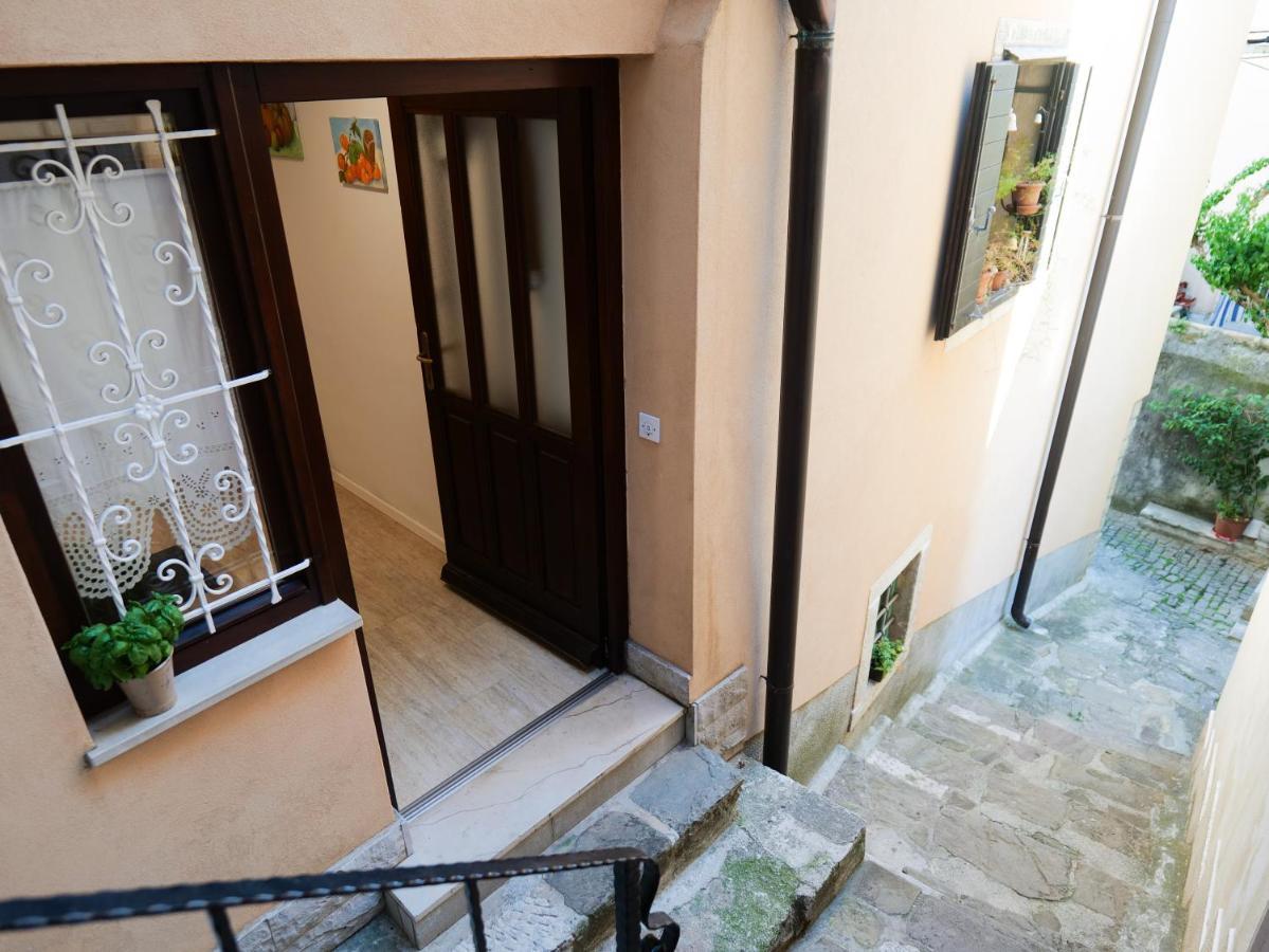 Apartment & Irena *